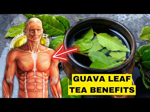 Drink This and Watch What Happens: The Unexpected Benefits of Guava Leaf Tea