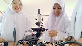 PRAKTIKUM PENGAMATAN SEL BAWANG MERAH DAN SEL MUKOSA PIPI DARI KELOMPOK 4 XI 1 PELAJARAN BIOLOGI