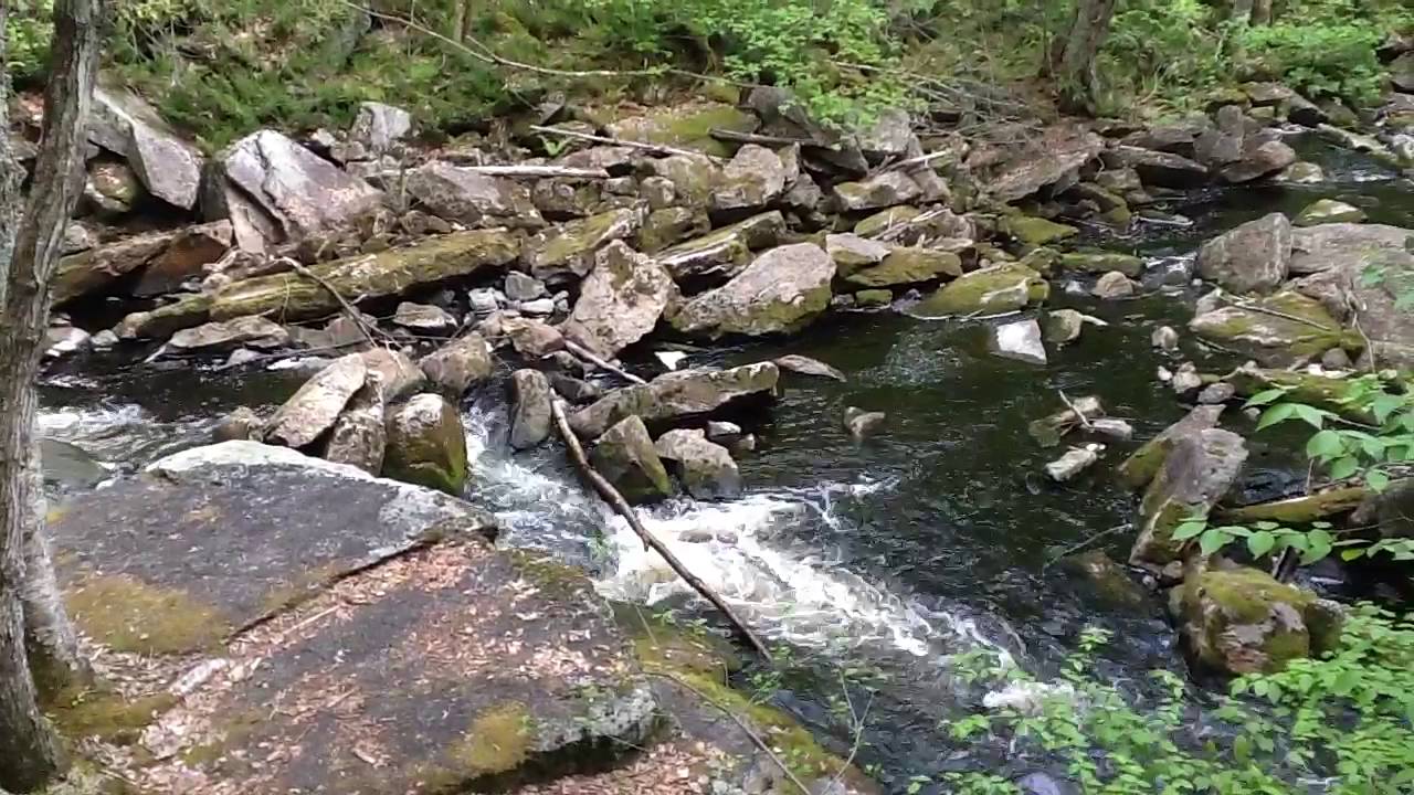 The importance of Experience- Rewildyoursoul