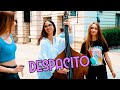 Despacito Luis Fonsi By Shut Up Kiss Me 