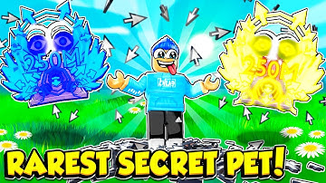 I Got The RAREST RAINBOW SECRET PET In Clicker Simulator!! (Roblox)