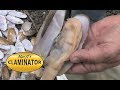 How to clean razor clams with a knife...fast!
