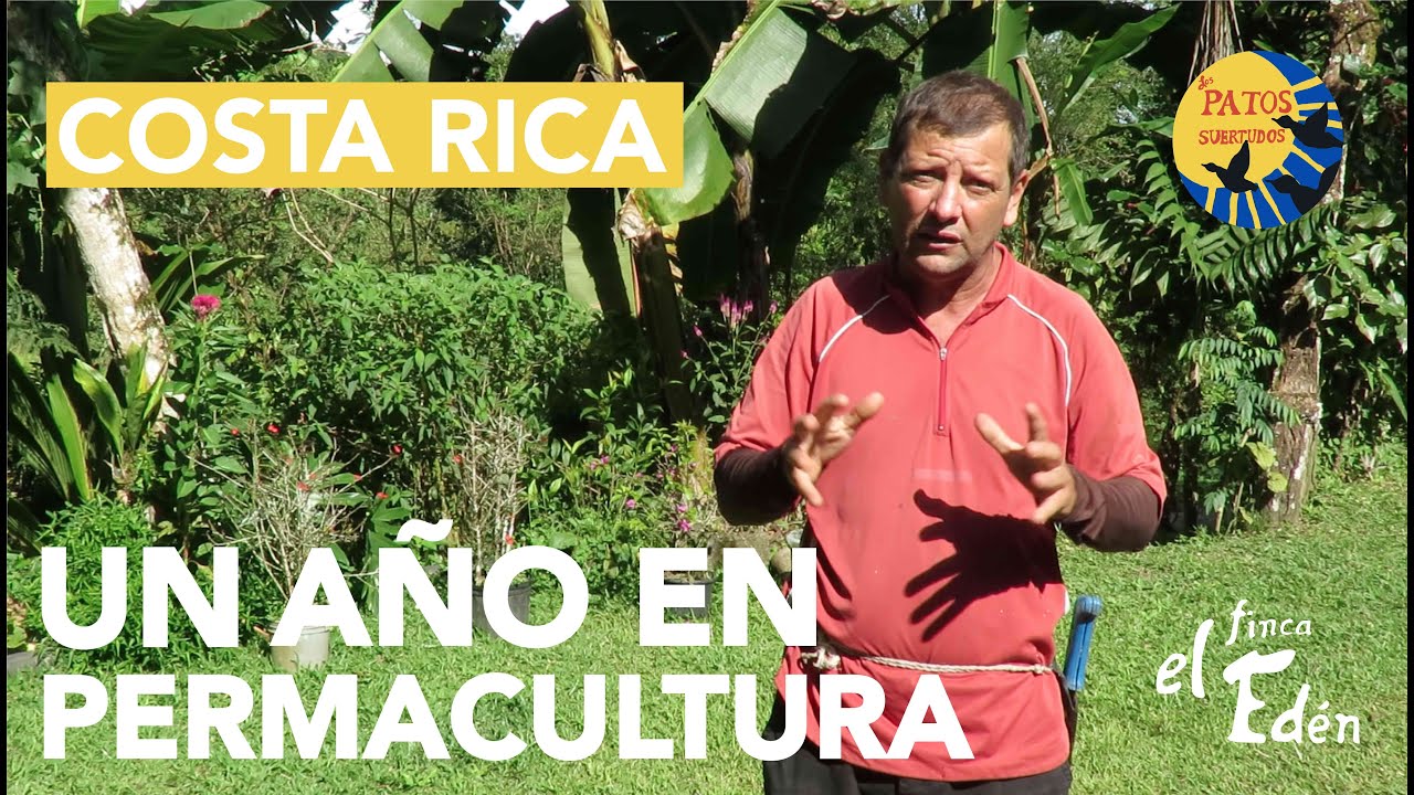 Finca Orgánica y Bosque Comestible de Permacultura EL EDÉN – Costa Rica