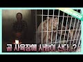 도심 속 숨겨진 곰 사육장, 그곳에 사는 의문의 남자┃A Hidden Cage in a City, and a Man Living in it.