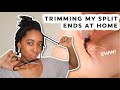 TRIMMING 4B/4C HAIR AT HOME | No more split ends!