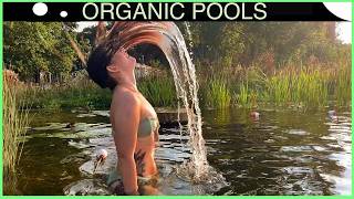 Looks Pretty but How Does an Organic Pool Work?
