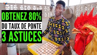 3 SECRETS pour TOI, pour OBTENIR 80% du taux de ponte SUR votre ferme (élevage de poulet goliath)