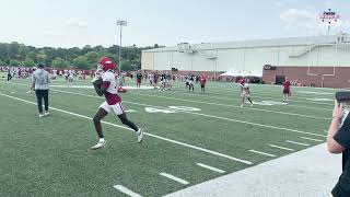 Full Sunday Razorback Football Fall Camp Highlights Update