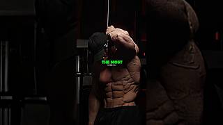 Is Sam Sulek The Only BIG Fitness Influencer!?