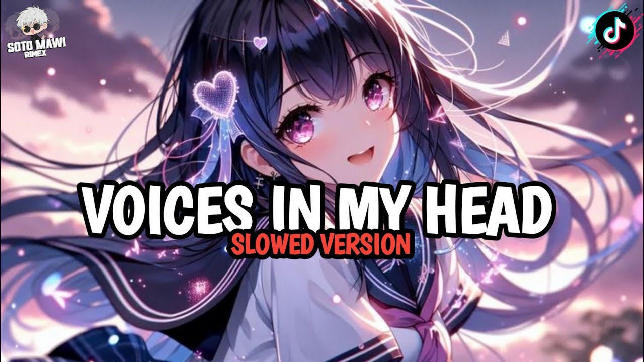 DJ VOICES IN MY HEAD || SLOWED VERSION 
