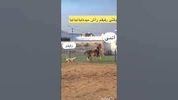 وقتی رفیقم راش میده😂❤ #امید6 #codm #سیزن5 #بروکن #gaming #شلتنا #cod #موبایلگیمر #callofduty