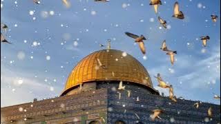 Saufa Nabqa Huna - Rami Mohanmed | Lirik dab Terjemahan