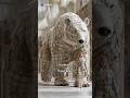Animals and women wearing luxury brand clothing#aiart #ai #animals #animals #luxury