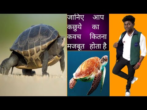 वीडियो: जैकहैमर कितना मजबूत होता है?