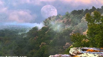 القارئ الشيخ ماهر المعيقلي  اية 38 من سورة الحج