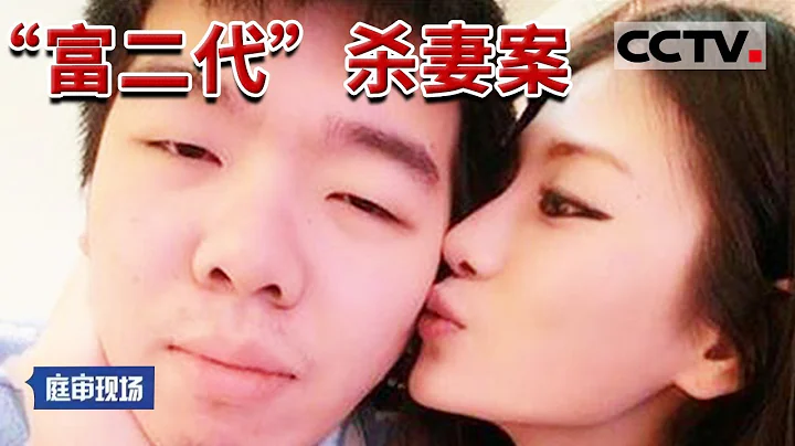 南京「富二代」吉星鵬殺妻案 因懷疑老婆外遇 當百天女兒面持刀捅妻60多刀致死 還揚言要女兒一起陪葬《庭審現場》20140517 | CCTV社會與法 - 天天要聞