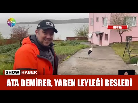 Ata Demirer, Yaren leyleği besledi