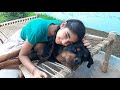 dogs missing owner||try not to cry compliation||rottweiler dog.