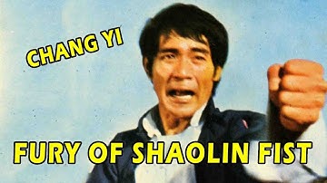 Wu Tang Collection - Fury Of Shaolin Fist