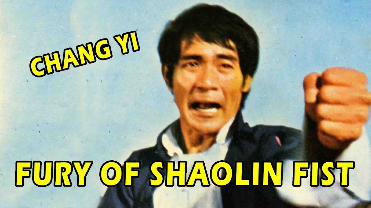 ninja air fryer Wu Tang Collection - Fury Of Shaolin Fist