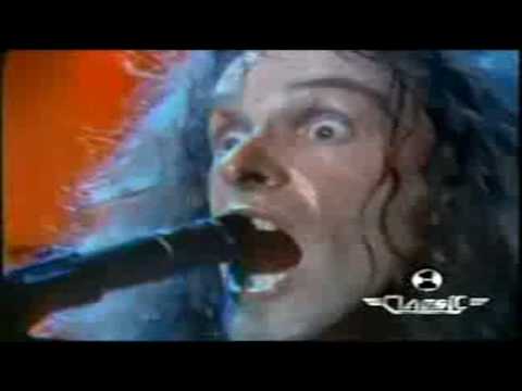 wango tango - ted nugent