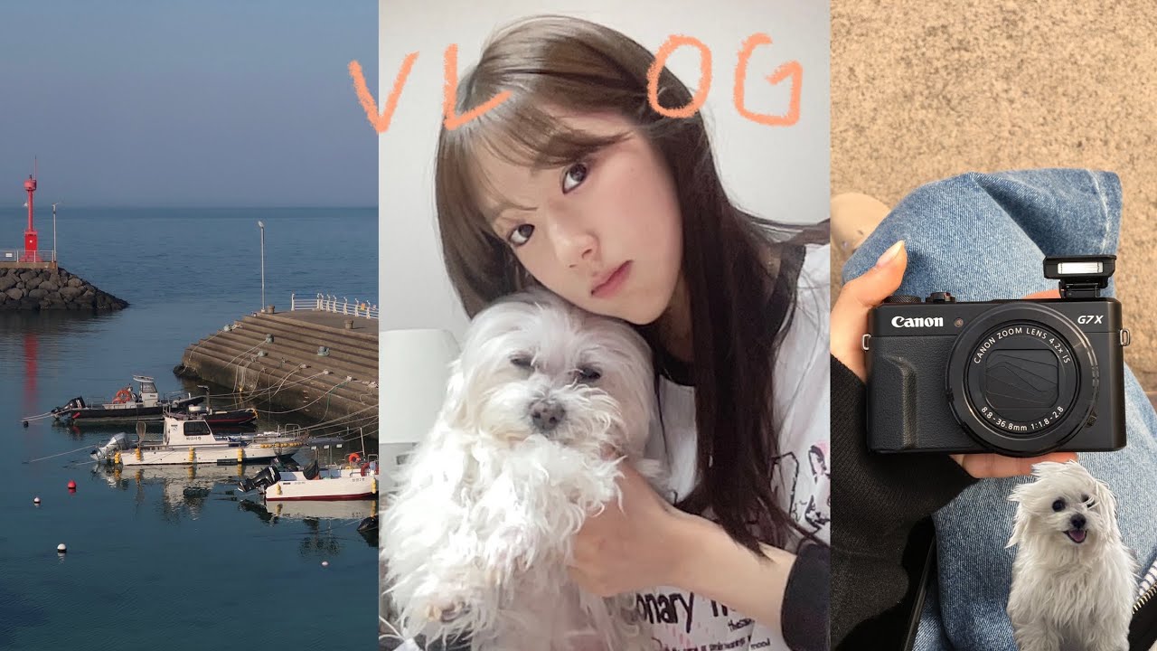 VLOG. 저 잠깐만 백수할게요 .. 🥸 | 제주도에서 망치랑 요양하기 | 새로운 카메라 입양 📷 | 뉴뉴웨어 신당점 하울 | 건대입구 개맛집!