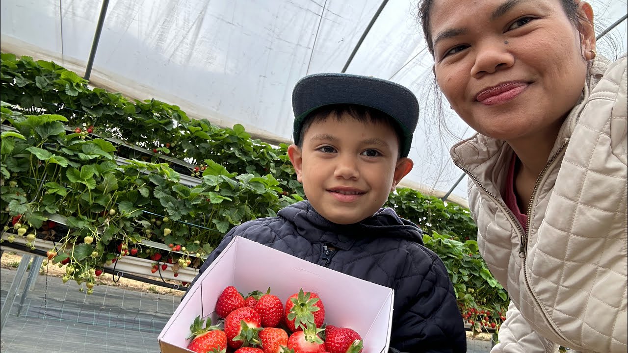 OUR FIRST TIME STRAWBERRIES PYO| ADVENTURE IN LONDON 🇬🇧