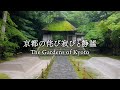 京都の侘び寂びと静謐 | Wabi-Sabi and Quiet Kyoto Gardens