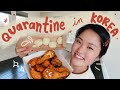 A day in my life in Korea 🇰🇷 quarantine vlog
