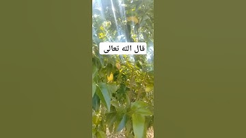 من أجمل آيات الله👆وكل القرآن عظيم مبارك جميل#صلوا #ﷺ #صلي#صلوا_على_النبي #يصلك  #دويتو