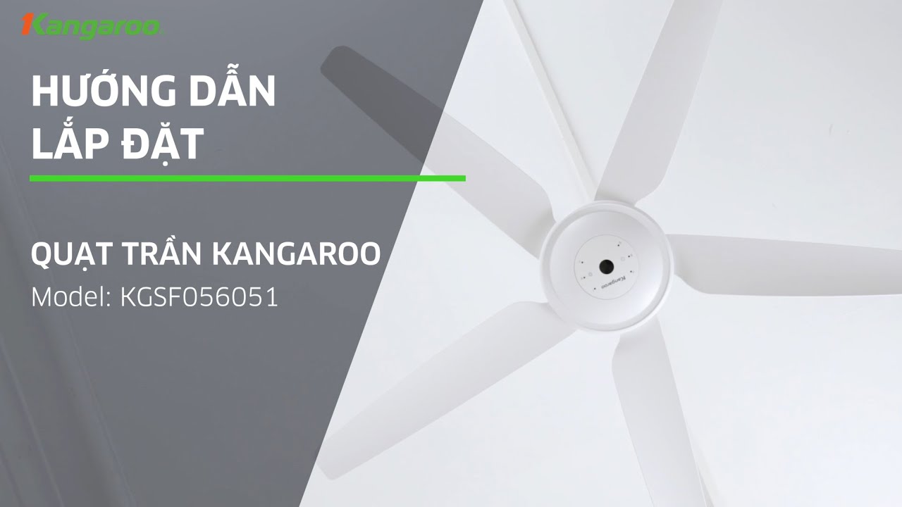 video Kangaroo KGSF056051 2021