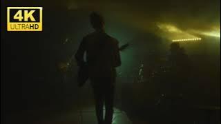 I will sleep happily through DJ party all night | nature_sounds_4k | HD Video 1080p