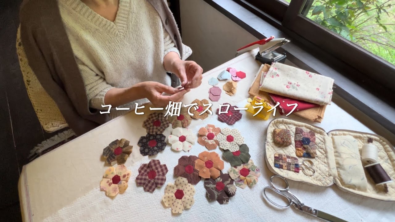 【60代女性】パッチワークタイムが癒しの時間/小さな蜘蛛の驚きの技/コーヒー豆の収穫から1杯のコーヒーまでの全行程。