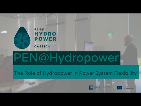 Roundtable Event: The Role of Hydropower in power system flexibility.