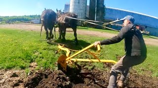 EPIC FAIL!  // First Time using a Walking Plow in 40 Years!