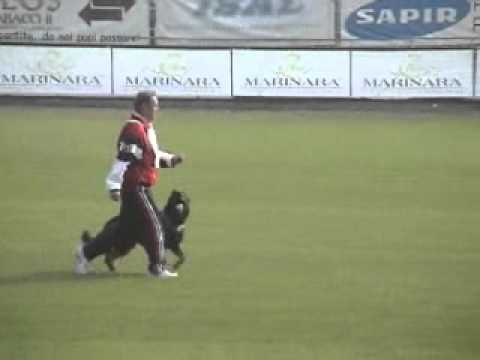Rabauke and Wayne in training and competing at the 2003 World Championship in Italy 8