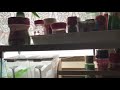 本日のコーヒー げきてきびみょうアフターさんからの強いリクエストに応えて 緊張と興奮の初手引きミル