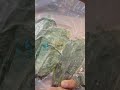 WHAT IS DRIED SOURSOP LEAVES?