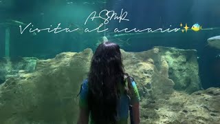 ASMR| Vlog relajante de visita al acuario | soft spoken, sonidos de naturaleza ✨?