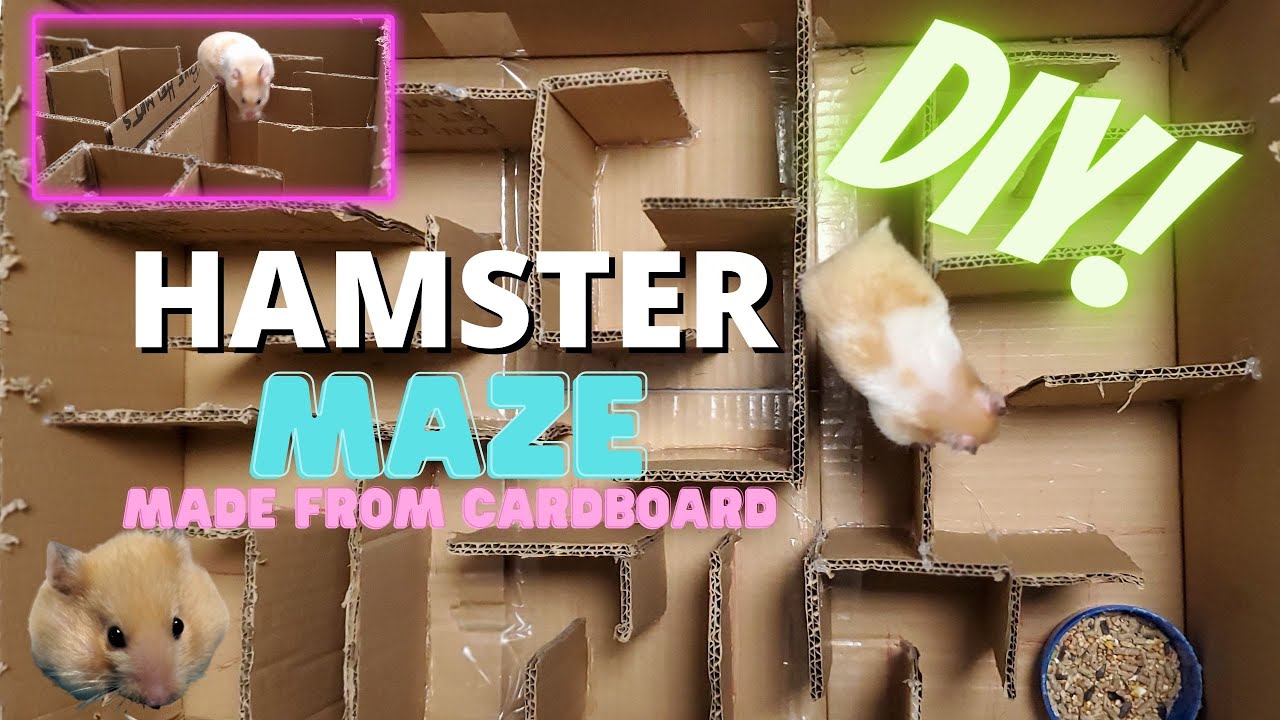 Hamster Maze on the App Store