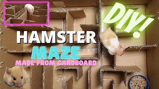 Hamster Maze | DIY | Made from Cardboard