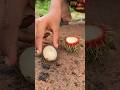 Survival Skills: SMART idea and USEFUL in Forest #bushcraft #camping#outdoors#survival