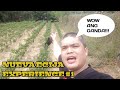 Nueva Ecija experience #1 / papajoms tv