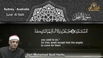 سورة النحل مرتلة كاملة للشيخ محمد حربي Surat The Bees Sheikh Mohamed Harby