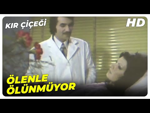 Kır Çiçeği - Aşkı Bilirim Aşka Saygımda Vardır!  | Bahar Erdeniz Serdar Gökhan Eski Türk Filmi