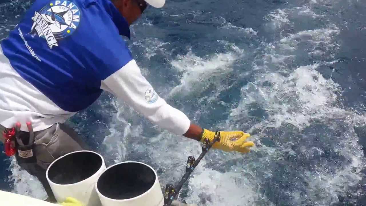 Panama big game fishing club. Ловля тунца в Панаме