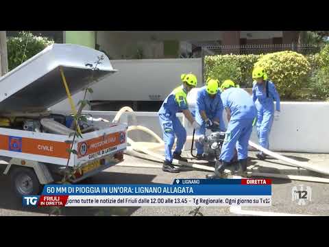 TG FRIULI IN DIRETTA | 31/05/2024