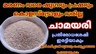 ജീവിതശൈലി രോഗങ്ങൾക്ക് വിട / ചാമരി ഇങ്ങനെ കഴിക്കൂ/ മാറ്റങ്ങൾ അനുഭവിച്ചറിയാം /beautylifewithsabeea