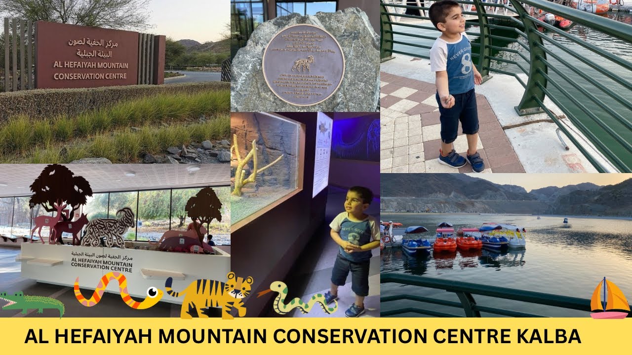 Al Hefaiyah mountain conservation Centre | Al Hefaiyah lake Sharjah | Tour to Hidden gem in Sharjah