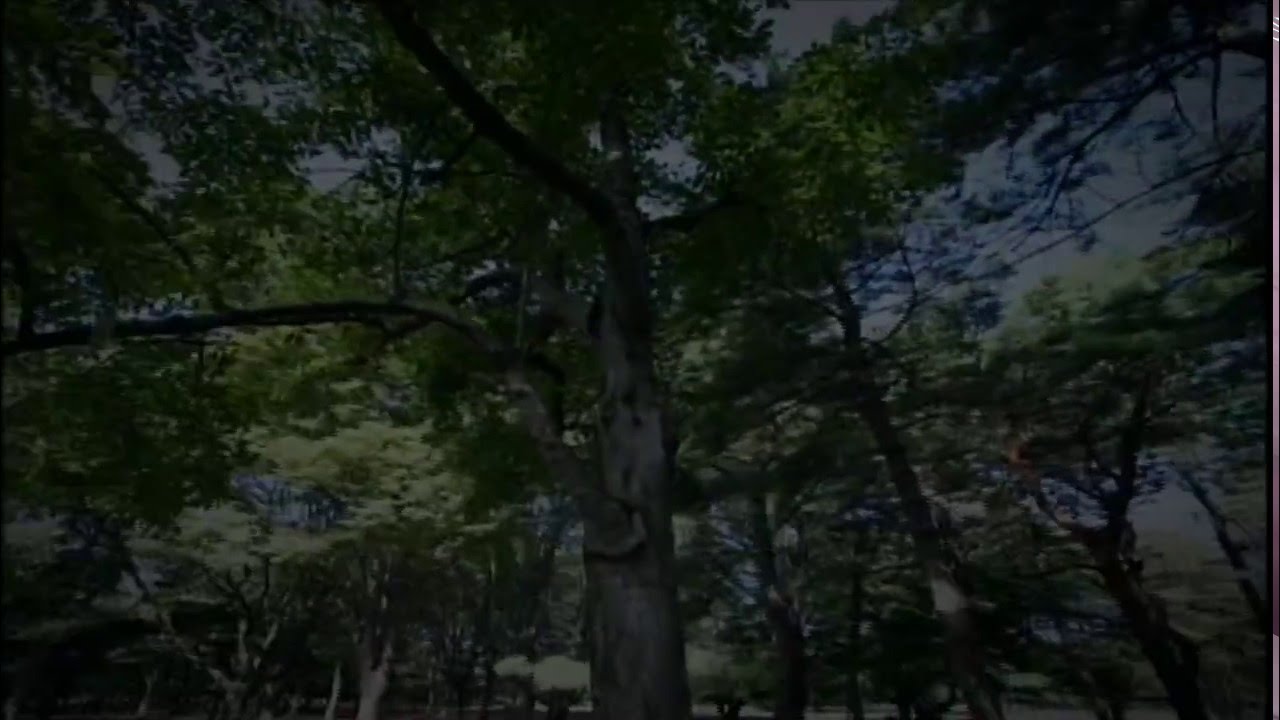 EGO-WRAPPIN' / ないものねだりのデッドヒート [LP - ]：JAPANESE